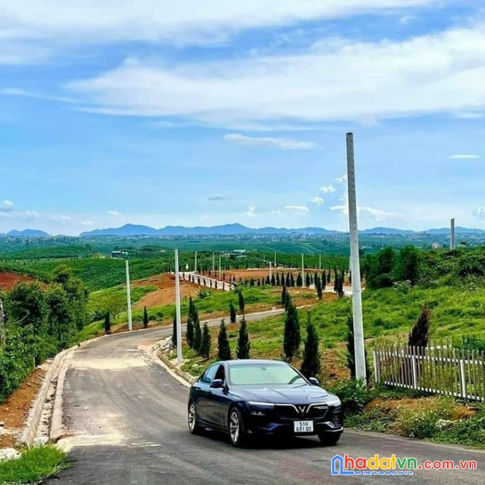 Đất nền nghỉ dưỡng giá đầu tư, dt 320m2 có thổ cư, xây dựng tự do tại lộc ngãi, bảo lâm .
