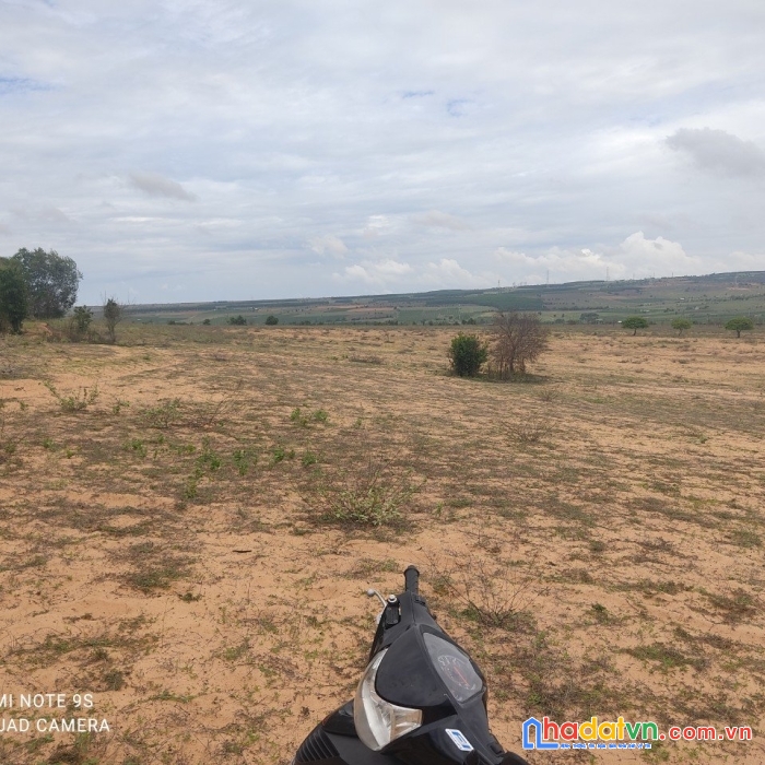 Bán lô đất vị trí đẹp giá rẻ hấp dẫn tại tỉnh bình thuận