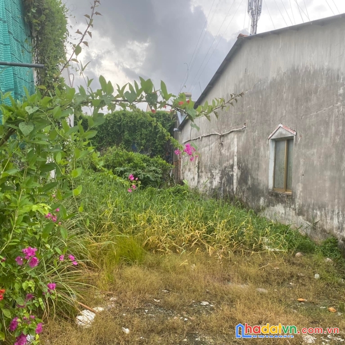 Bán đất đẹp trung tâm phường 1 tp sa đéc, cách đường nguyễn tất thành 30m