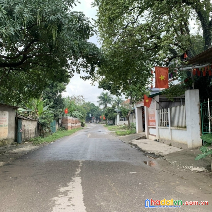 Giá nào cũng bán