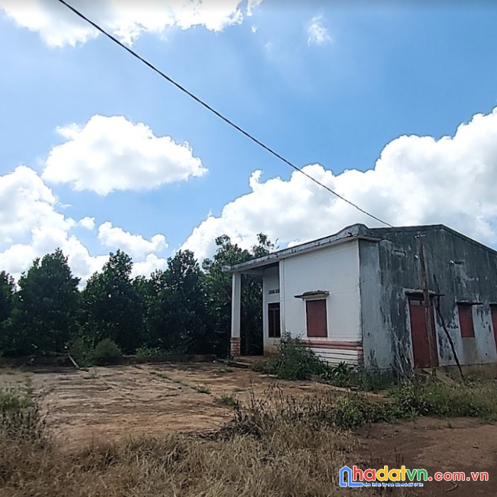 Bán 3.618m2 đất tp pleiku (100m2 thổ cư) sổ đỏ chính chủ giá 900 nghìn đồng.