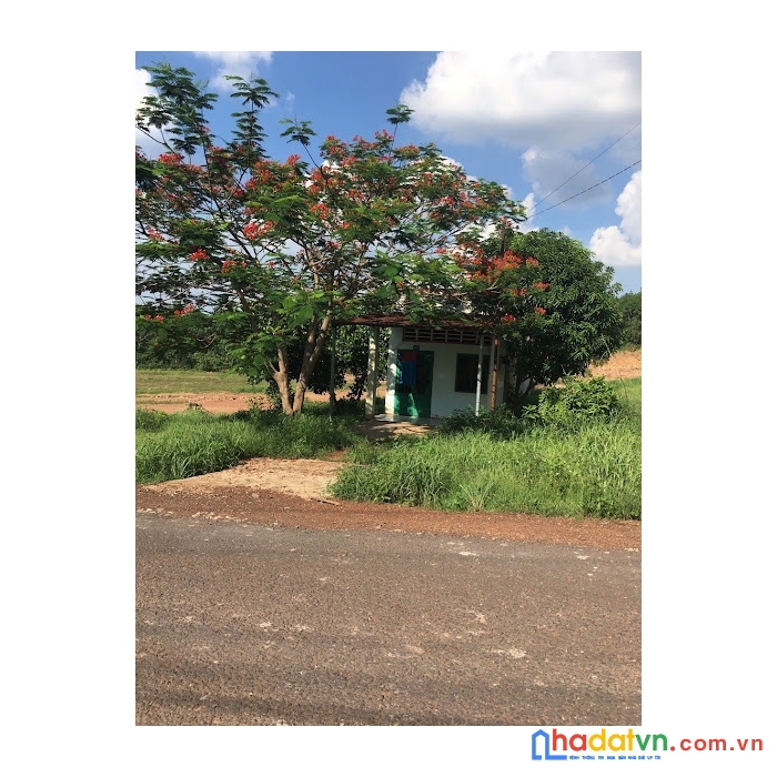  cần tiền trả nợ ngân hàng bán gấp thổ cư 122.5m² giá 269tr
