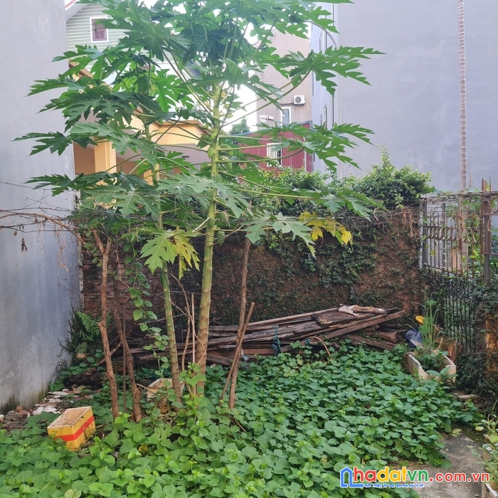 40m2 đất thượng thanh lb mt6m 3 thoáng ô tô đỗ cổng 2.75 tỷ