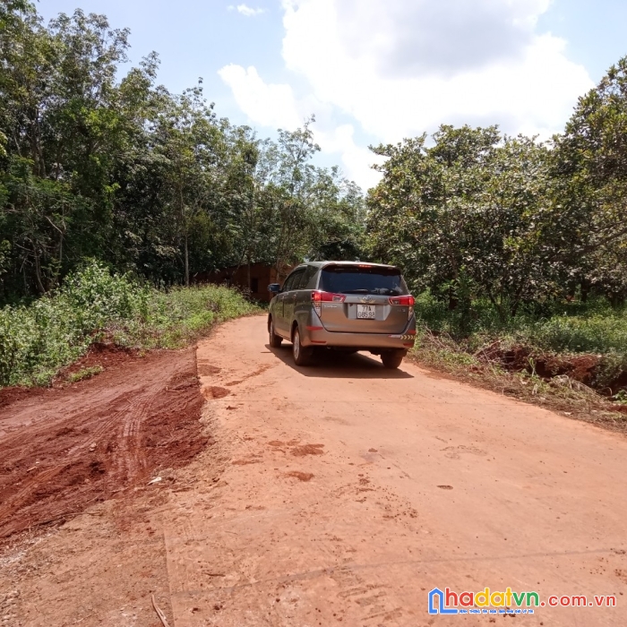 Tôi có  250m2 đất nông nghiệp cần bán gấp ở bù đăng- bình phước.