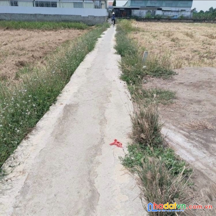 Chính chủ cần bán gấp nền đất thổ cư vị trí đẹp tại long an