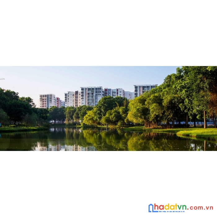 Hàng chủ đầu tư celadon không trung gian. cọc 200tr ra tên sở hữu