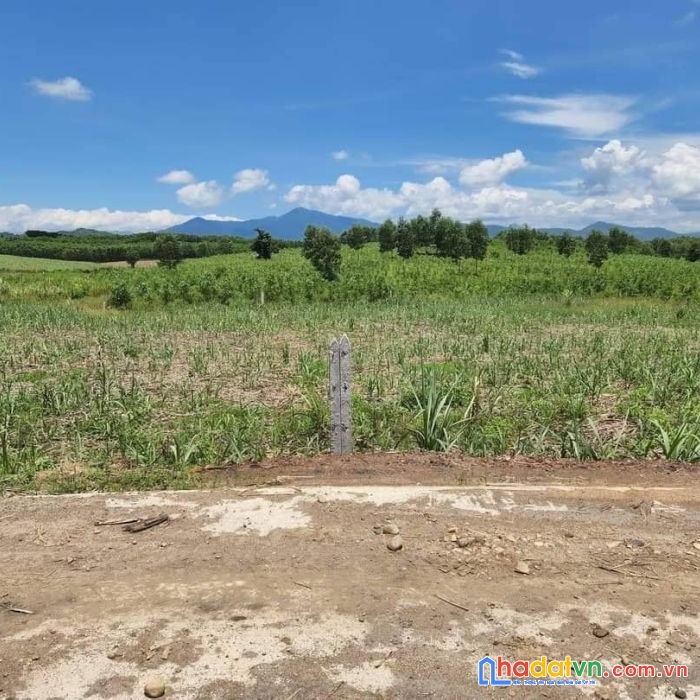 Chính chủ cần bán lô đất vị trí siêu đẹp tại diên khánh, khánh hòa.