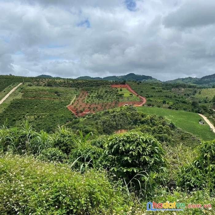 Cần bán gấp lô đất 20.000m2 ở xã tà nung tp đà lạt giá 17 tỷ