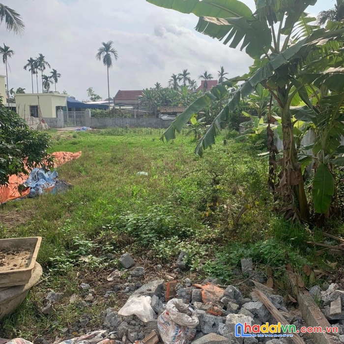 Bán lô đất tại văn khê_an thọ_an lão