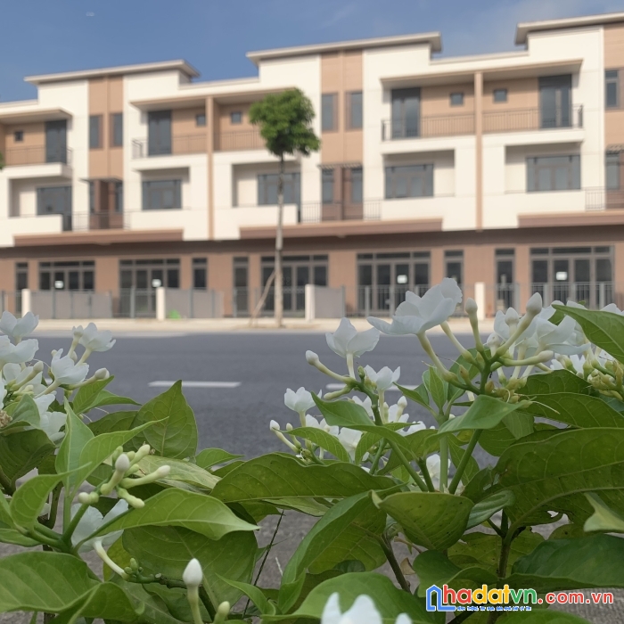 Bán nhà phố trục phố đi bộ kinh doanh sầm uất bậc nhất khu đô thị vsip bắc ninh