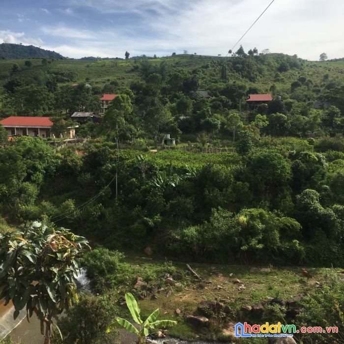 Bán nhanh siêu phẩm gần1500m2 thích hợp làm homestay,suối đằng sau, gần ql4. sẵn sổ đỏ chỉ chờ