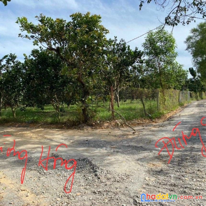 Bán nhanh lô đất xào vườn bưởi tai suối nho định quán .ra nhanh cho khách thiện chí