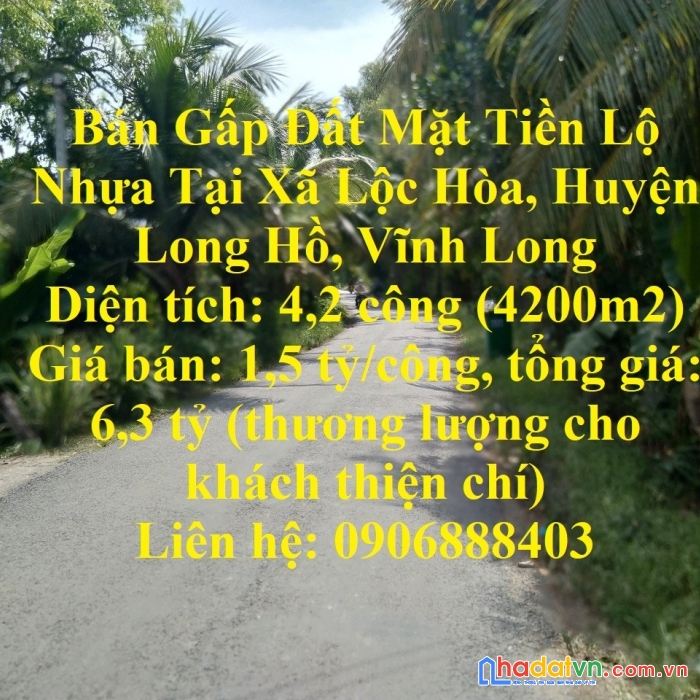 Bán gấp đất mặt tiền lộ nhựa tại xã lộc hòa, huyện long hồ, vĩnh long