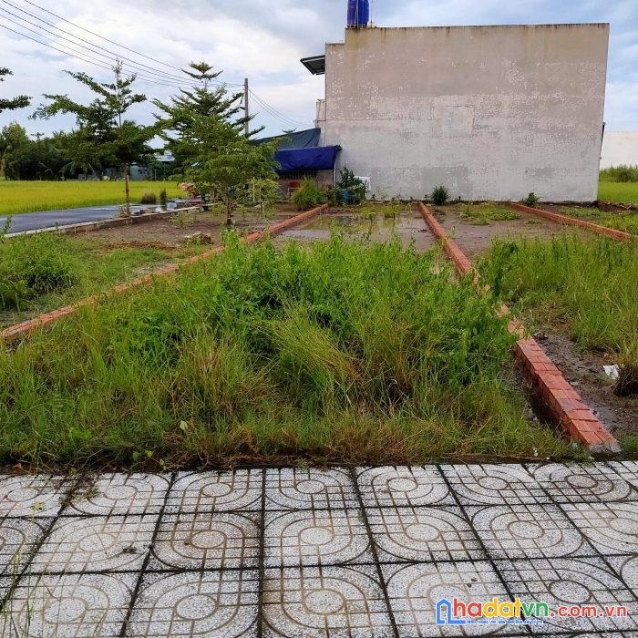 Bán đất nền long an mặt tiền đường cách quốc lộ 50 500m diện tích 145m2, giá :1.8tỷ.