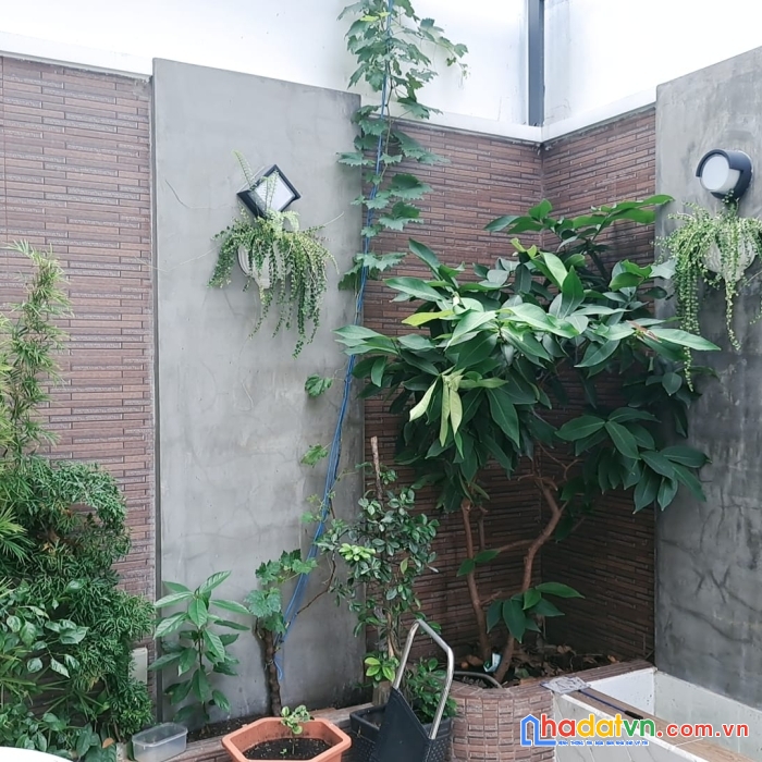 Hxh nguyễn văn quá 85m2 nhà mới tinh tươm, xây dựng tâm huyết