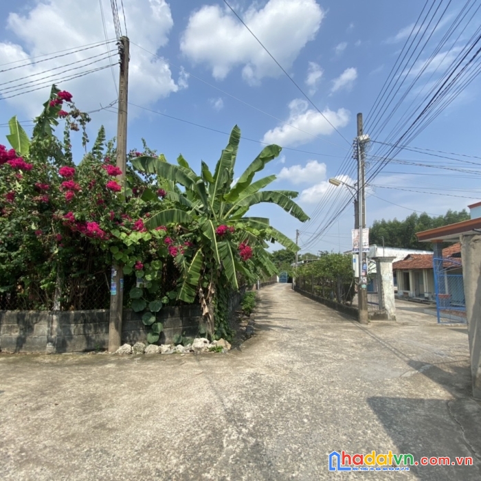Cần bán lô đất thạnh phú - vĩnh cửu - đồng nai