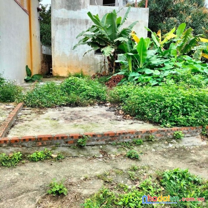 Siêu hiếm chỉ 1 tỷ có mảnh đất tại phù liễn bắc hồng đông anh hà nội giá đầu tư lh 0333967741