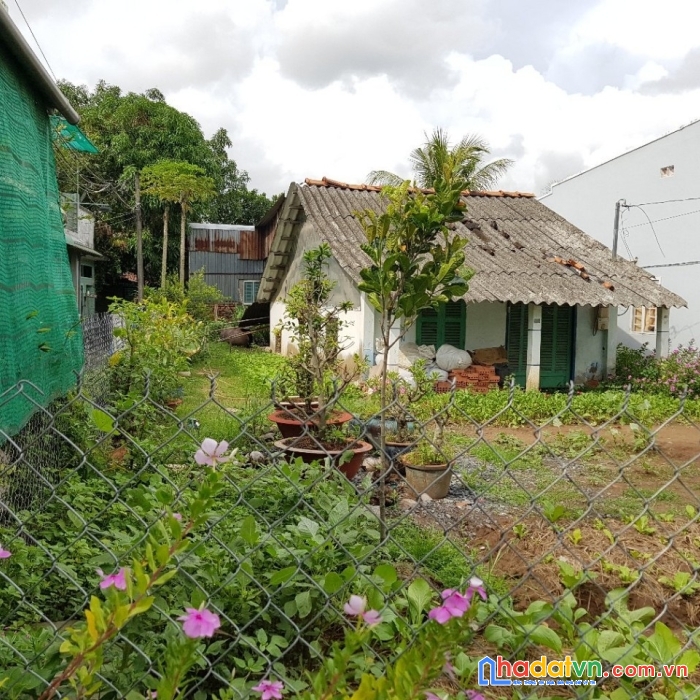 Cần bán nhanh lô đất ở nã ba chú lường, bình chánh tphcm