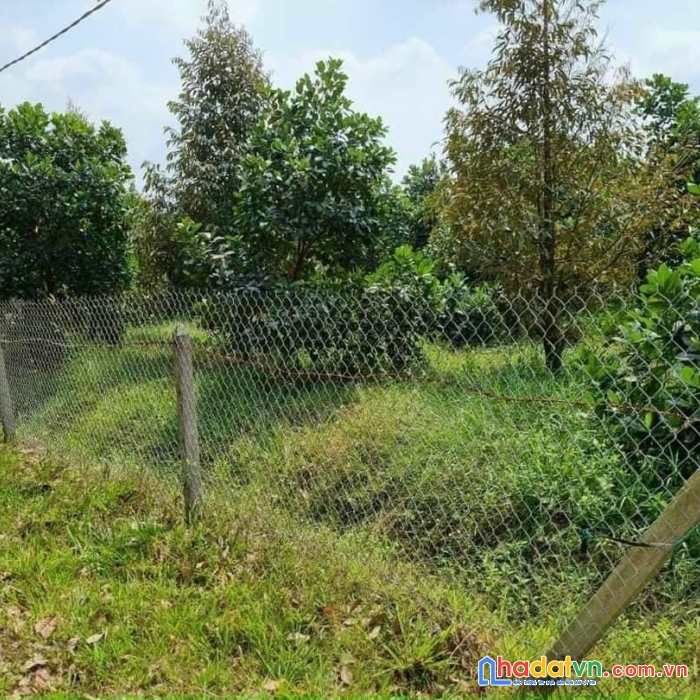 Ngộp ngân hàng bán gấp 4135m2 đất vườn  đường  12m giá 900tr