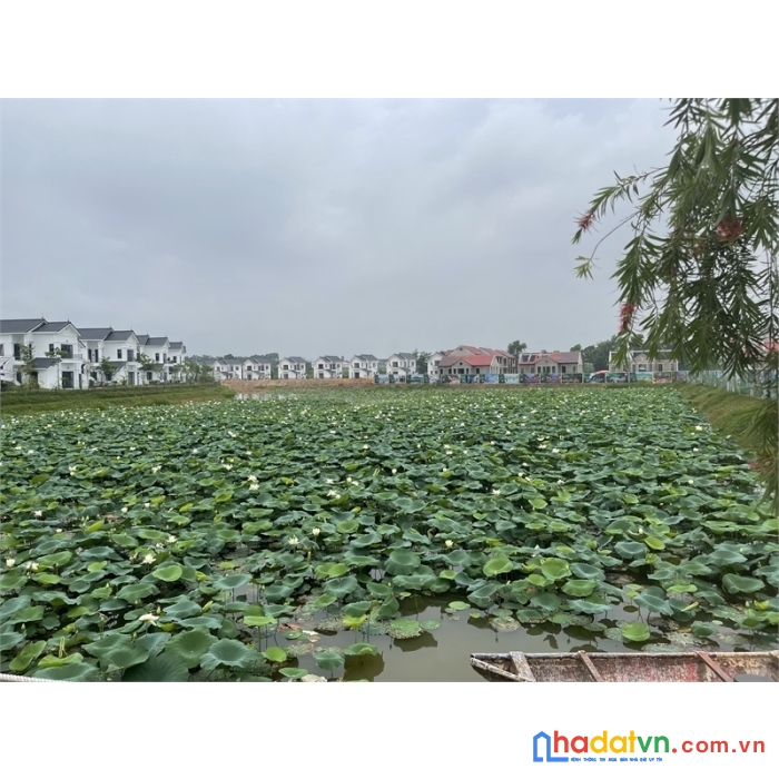 Chỉ với 25tr/m2 sở hữu ngay biệt thự full nội thất view hồ sen tại thanh thủy, phú thọ