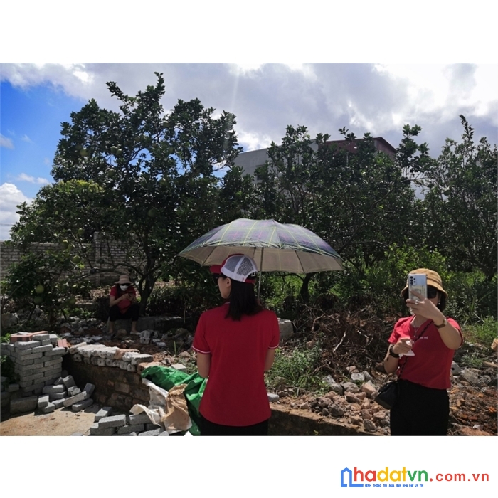 Lô đất cực đẹp giá f0 vừa ra nóng hổi tiên lục, lạng giang, bắc giang
diện tích 87,5 m2. full thổ