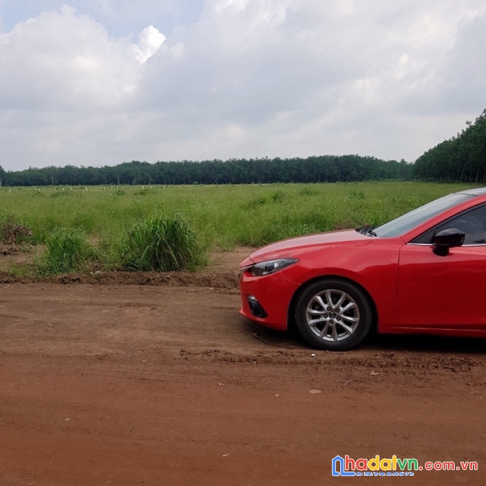 Bán đất gần nhà thờ tân hiệp phú giáo 1000m2 giá 800trieu