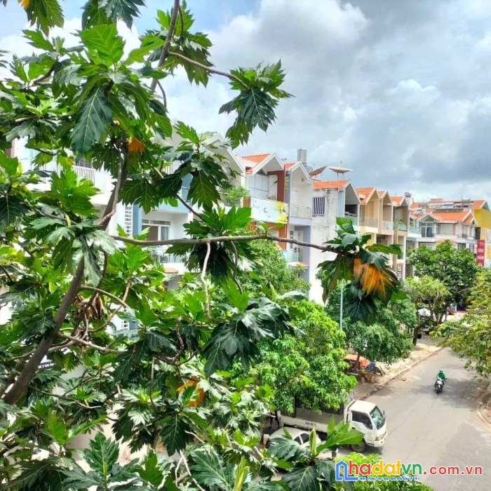 Nóng bỏng tay nhà hầm 3 lầu thang máy 5x20  kdc himlam- quận 7.
