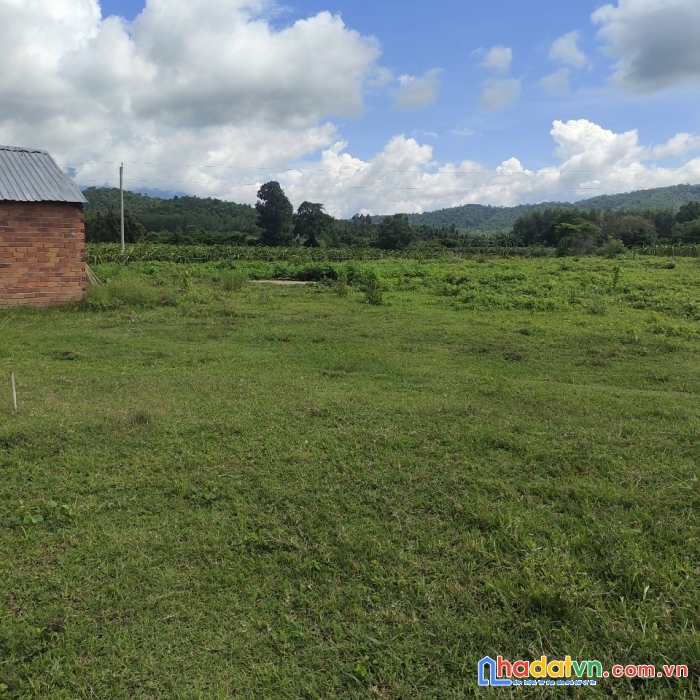 Nhà kẹt tiền cần bán nhanh lô đất đẹp  khu vực hàm cần hàm thuận nam bình thuận.