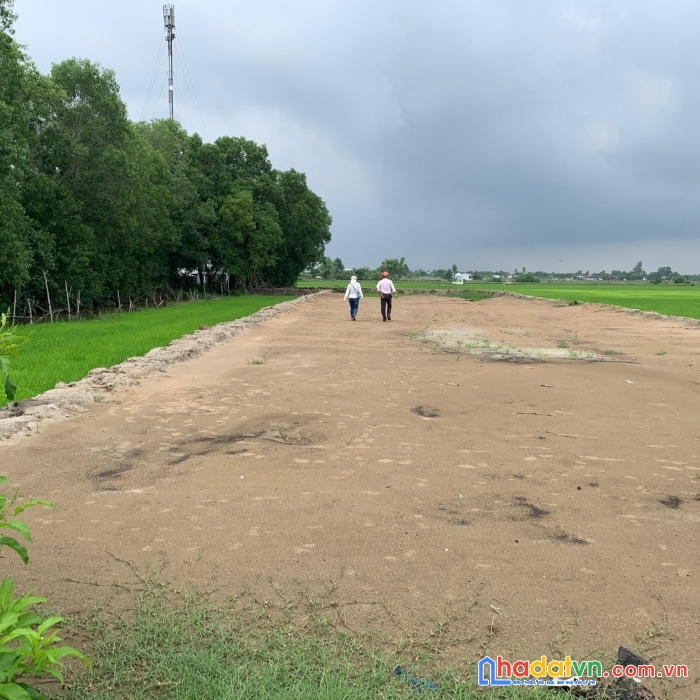 Chính chủ bán gấp 477m2 đất thổ tại tt cần đước