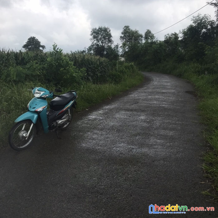 1,6 tỷ/2,2 sào đường nhựa xuân sơn, châu đức