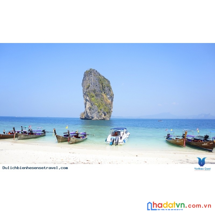 Đất du lịch biển rẻ như đất thổ cư