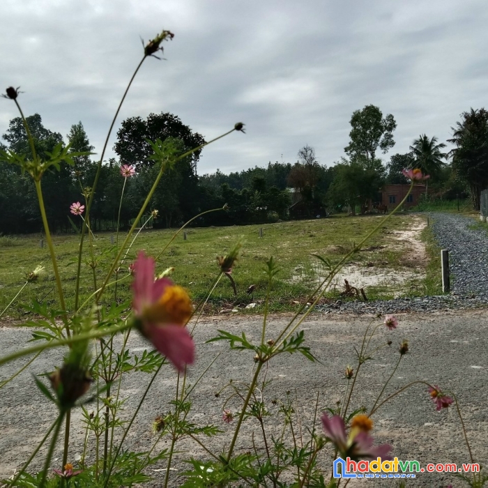 Đất đầu tư chỉ 450tr, quy hoạch khu dân cư đông đúc