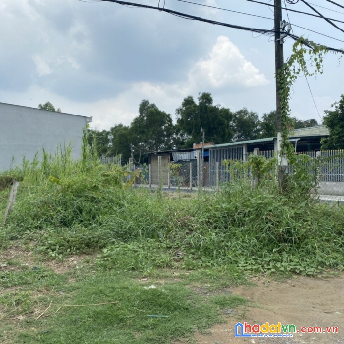 Chủ có việc cần bán gấp 150.3m² thổ tại đường đinh đức thiện, xã bình chánh, huyện bình chánh, tp.