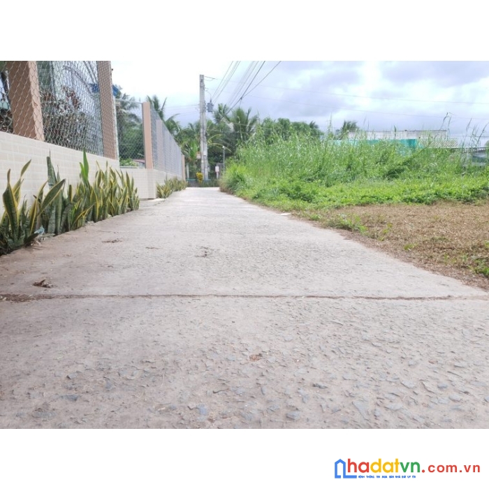 Cần bán 2 nền thổ cư 100%, mặt tiền đường lê văn tâm, xã bình lãng, huyện tân trụ, tỉnh long an.