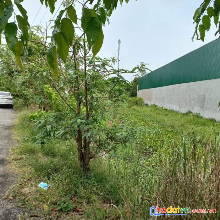 Cần bán căn biệt thự siêu đẹp tại thành phố cần thơ