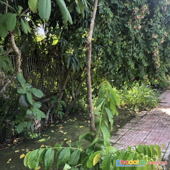 Đất thổ cư 2 mặt tiền nguyễn kiệm p4-trung tâm phú nhuận 1100m2 chỉ 175 tỷ