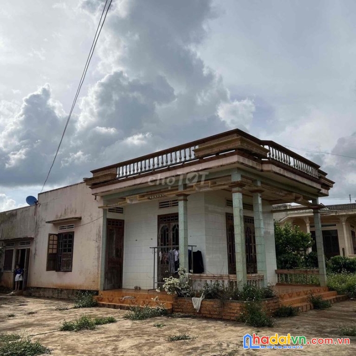 Chính chủ bán đất gia lai sổ đỏ đầy đủ, diện tích 3.404m2, giá 979k/m2.