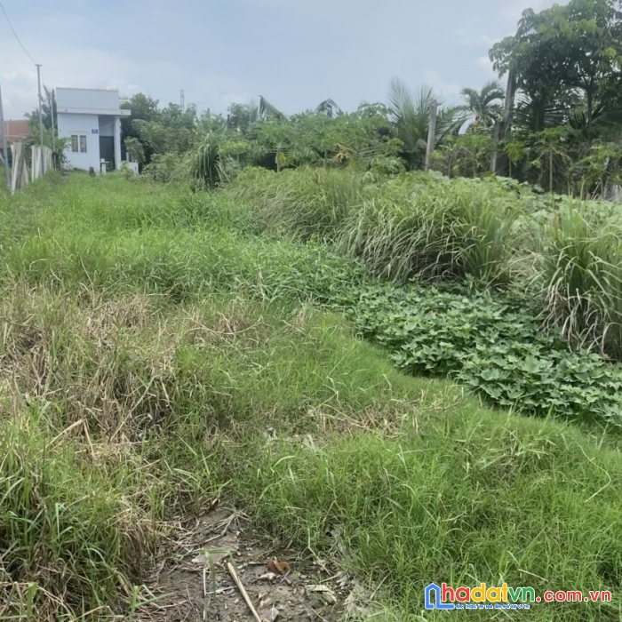 Chính chủ cần bán lô đất vị trí đẹp tại huyện cần đước, tỉnh long an.