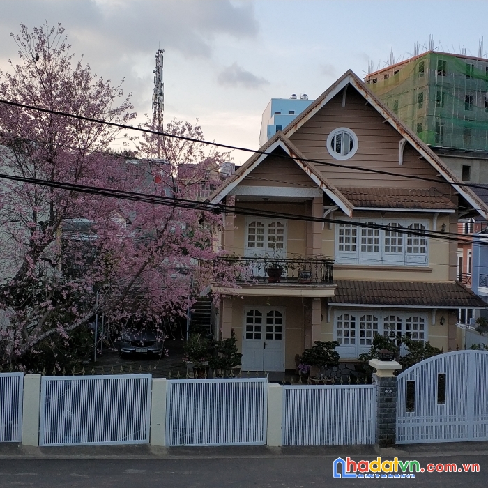 Bán lô đất biệt thự 440m2 đường trần quý cáp, p9, đà lạt - cảnh đẹp đồ ăn ngon lại yên tĩnh