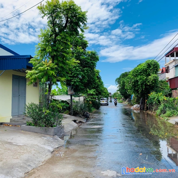 Mặt đường bùi phổ, tân thành, dương kinh, hải phòng. 180m2 giá 19tr