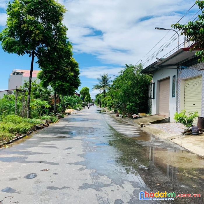 Mặt đường bùi phổ, tân thành, dương kinh, hải phòng 360m2 ngang 12m giá 19tr