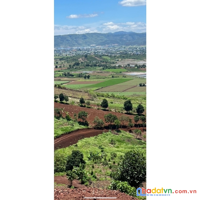 Cần bán đất sào 1.051m2  đức trọng, lâm đồng