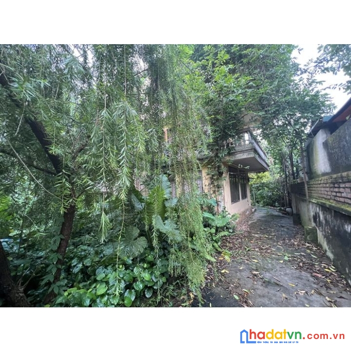 Duy nhất đất ngọc thụy long biên trong đê 50tr/m2 lh 0868246333