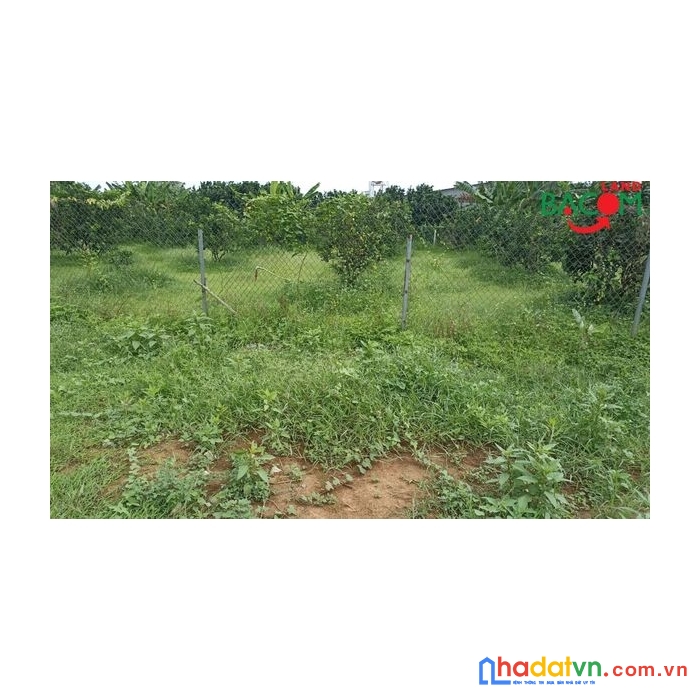 Đất đẹp cho nhà đầu tư 124m2 thổ cư tràn sổ, làng bưởi, huyện vĩnh cửu, giá chỉ 1.25 tỷ