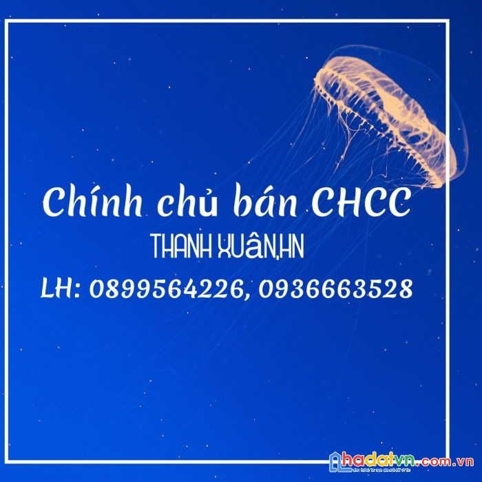 Chính chủ bán căn hộ chung cư mini tại thanh xuân, hà nội.