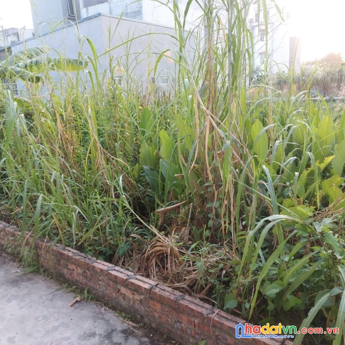 45m đất phúc lợi mt 4m chỉ 2.2 tỷ, vị trí đỉnh vip.