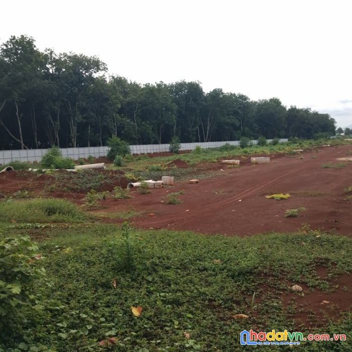 Nhà mặt phố tnr long khánh đang mở bán giá f0, đồng nai