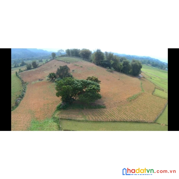 Siêu phẩm lô đất rẻ mỹ hòa giá chỉ hơn 300km tân lạc hòa bình giá đầu tư