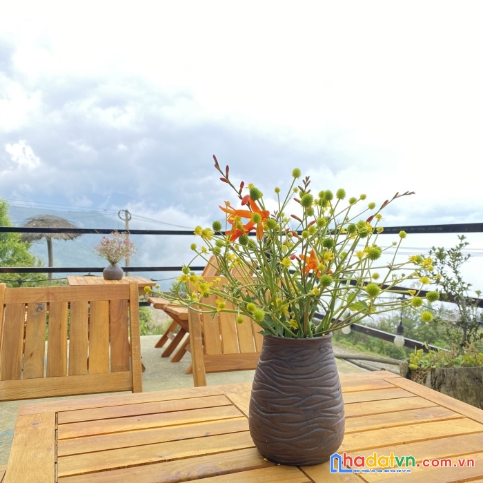 Mảnh đất săn mây siêu đẹp tại y tý. đón sóng quy hoạch xây dựng