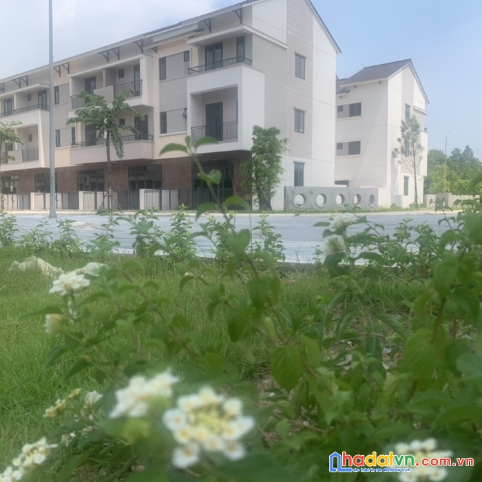 Bán căn góc đối diện vườn hoa giá siêu yêu